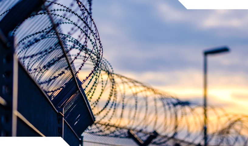 Close up of barbed wire fencing at dawn